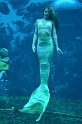 Kids_WeekiWachee-Mermaids (35)